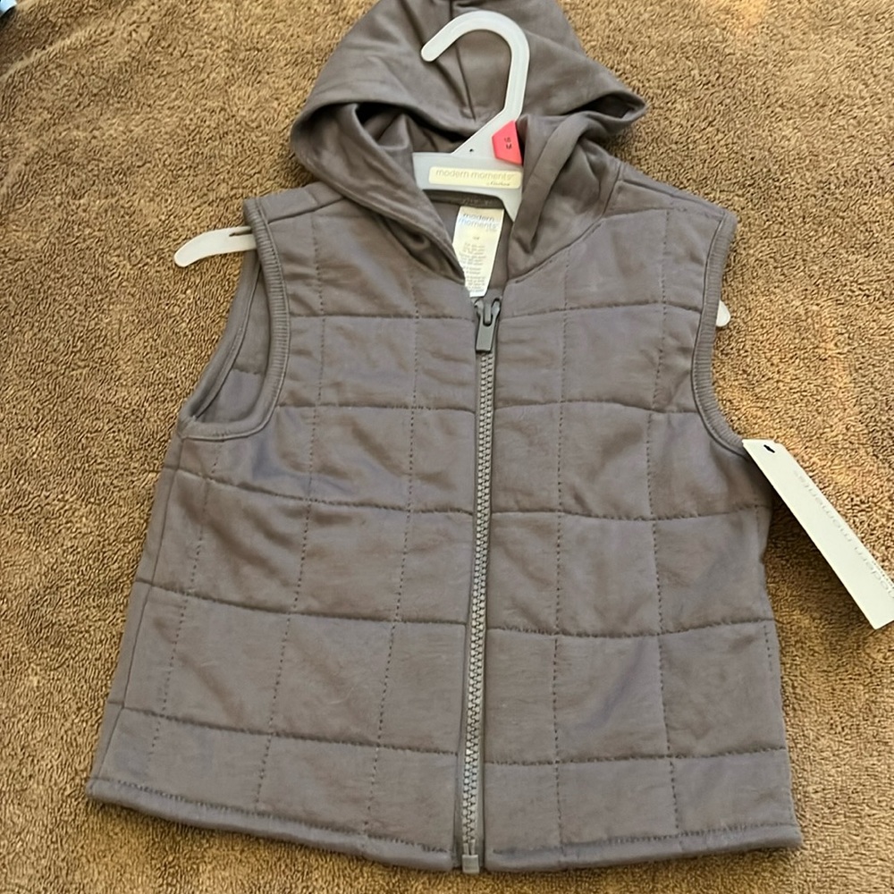 Hooded vest